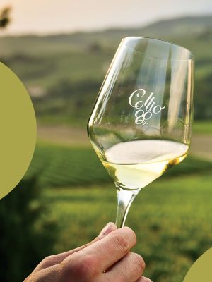 Alla scoperta del Collio